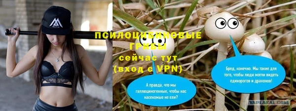 стаф Алексеевка
