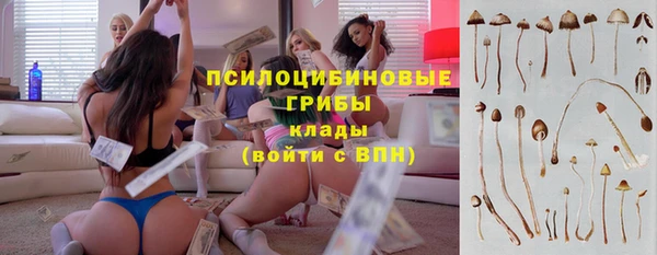 стаф Алексеевка
