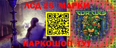крисы Шахты