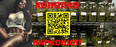 крисы Шахты