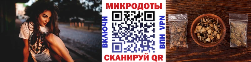 omg как зайти  Бердск  Галлюциногенные грибы Psilocybe 