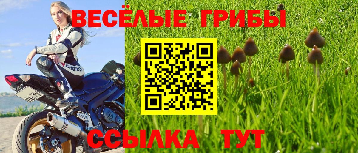 Галлюциногенные грибы мухоморы Бердск