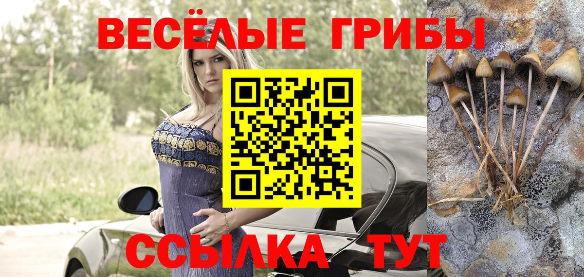 Псилоцибиновые грибы ЛСД  Галлюциногенные грибы прущие грибы  Бердск  Вход с VPN 