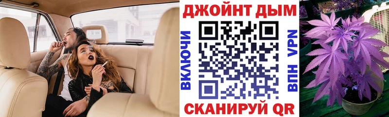 Марихуана конопля  omg маркетплейс  Бердск 